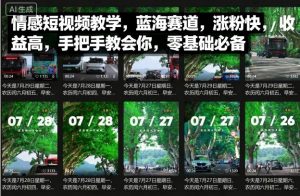 情感短视频教学,蓝海赛道,涨粉快,收益高,手把手教会你,零基础必备-虚拟资源库