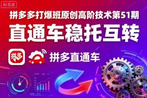 拼多多打爆班原创高阶技术第51期,直通车稳托互转-虚拟资源库