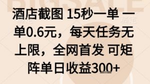 酒店截图项目,15秒一单,一单0.6米,每天任务无上限,全网首发可矩阵单日收益3张+【揭秘】-虚拟资源库
