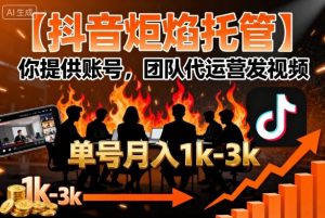 【抖音炬焰托管】你提供账号，团队代运营发视频，单号月入1k+【揭秘】-虚拟资源库