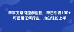 手掌文案引流创业粉,单日引流100+,可适用任何行业,小白轻松上手-虚拟资源库