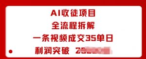 AI收徒项目全流程拆解一条视频成交35单日利润突破1k+-虚拟资源库