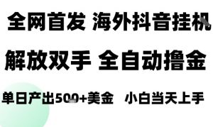 海外抖音无人直播,单日产出1.5k+,长期稳定,新手可玩,无脑操作【揭秘】-虚拟资源库