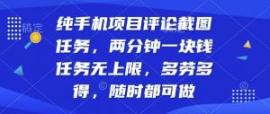 纯手机项目评论截图任务,两分钟一块钱多劳多得,随时随地都能做【揭秘】-虚拟资源库