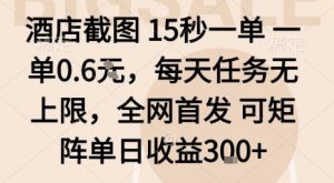 酒店截图15秒一单，一单0.6米，每天任务无上限，全网首发可矩阵单日收益3张【揭秘】-虚拟资源库