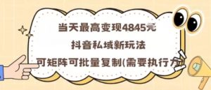 当天最高变现1k+，抖音私域新玩法，可矩阵可批量复制-虚拟资源库