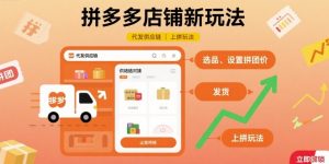 拼多多店铺新玩法,代发供应链上拼玩法-虚拟资源库