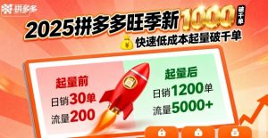 2025拼多多旺季新老店铺——快速低成本起量破千单-虚拟资源库