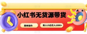 小红书无货源带货项目,简单无脑,新人小白日入多张-虚拟资源库