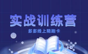 多多实战训练营,从0到1打造一个真正賺钱的店铺-虚拟资源库