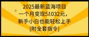 2025最新蓝海项目一个月变现1w+新手小白也能轻松上手【附全套指令】-虚拟资源库