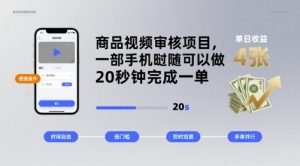 商品视频审核项目,一部手机随时随地都可以做,20秒钟完成一单,单日收益 4张【揭秘】-虚拟资源库