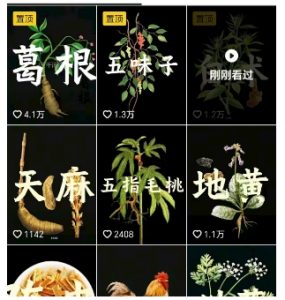抖音中草药赛道,用AI做中草药故事视频,45条作品涨粉13W,橱窗带货猛猛出单-虚拟资源库