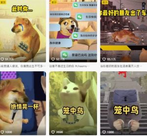 狗头幸运星UE5动画全套课程,从入门到实操全掌握-虚拟资源库