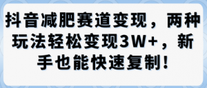抖音减肥赛道变现,两种玩法轻松变现3W+,新手也能快速复制-虚拟资源库