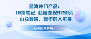 蓝海项目：16条笔记私域变现9750米小众赛道操作的人不多-虚拟资源库