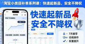 淘宝小类目补单系列课,快速起新品,安全不降权-虚拟资源库