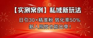 【实测案例】私域新玩法,日引30+精准粉,转化率50%,新人照做也能出单!-虚拟资源库