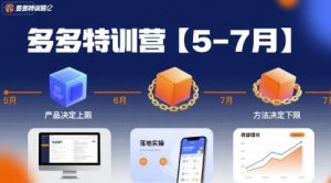 多多特训营,产品决定上限,方法决定下限,各种玩法技巧落地实操(更新)-虚拟资源库