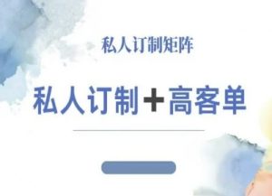 小红书自媒体咨询师IP教程，私人定制+高客单-虚拟资源库