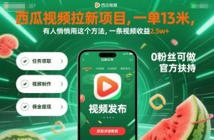 西瓜视频拉新项目,一单13米,有人悄悄用这个方法,一条视频收益2.5w+(附详细教程)-虚拟资源库