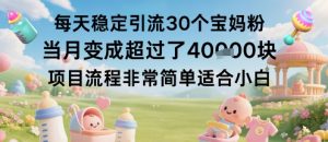 每天稳定引流30个宝妈粉当月变成超过了1W+项目流程非常简单适合小白-虚拟资源库