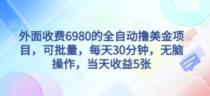 外面收费6980的全自动撸美刀项目,可批量,每天30分钟,无脑操作,当天收益5张【揭秘】-虚拟资源库