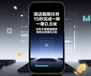 酒店截图任务，15秒完成一单，一单0.6米，任务不限量随便接，矩阵拉满单日3张【揭秘】-虚拟资源库