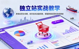 独立站实战教学,跨境经营全攻略,助您告别流量依赖,掌握跨境经营的终极奥-虚拟资源库