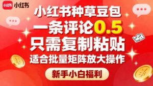 小红书种草豆包，一条评论0.5，只需复制粘贴，适合批量矩阵放大操作，新手小白福利-虚拟资源库
