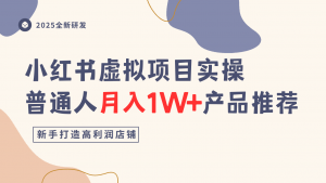 小红书虚拟项目实操指南，普通人月入1W+产品推荐，直接抄-虚拟资源库