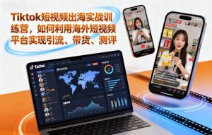 Tiktok短视频出海实战训练营,如何利用海外短视频平台实现引流、带货、测评-虚拟资源库
