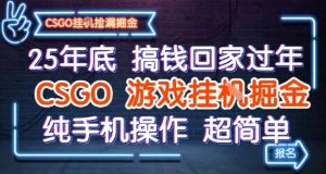 25年底搞钱回家过年,CSGO游戏挂G掘金,纯手机操作超简单【揭秘】-虚拟资源库