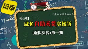 麦子甜咸鱼自助卖货实操版(虚拟资源)一个会自动搞钱的机器-虚拟资源库