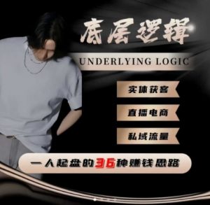 一个人起盘的底层逻辑，私域流量-直播电商-实体获客，一人起盘的36种賺钱思路-虚拟资源库