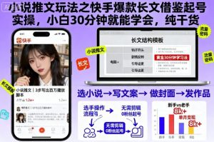 小说推文玩法之快手爆款长文借鉴起号实操,小白30分钟就能学会,纯干货-虚拟资源库