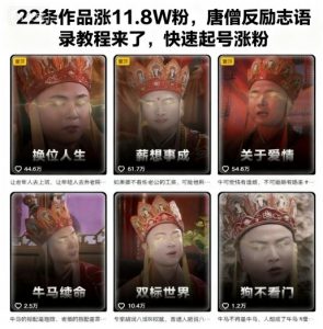 22条作品涨11.8W粉,唐僧反励志语录教程来了,快速起号涨粉-虚拟资源库