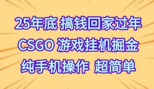 25年底搞钱回家过年,CSGO游戏挂G掘金,纯手机操作超简单【揭秘】-虚拟资源库
