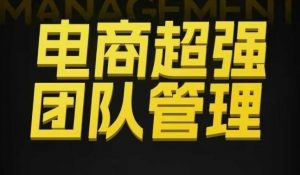 电商超强团队管理，组织绩效，到用人执行，分权合伙-虚拟资源库
