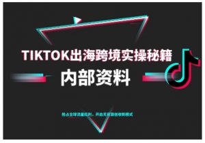 TikTok跨境电商0-1搭建运营，TK出海跨境实操秘籍（10月更新）-虚拟资源库
