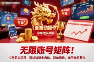 无限账号矩阵！今年龙头项目，游戏试玩全自动，简单操作，单号单日5张【揭秘】-虚拟资源库