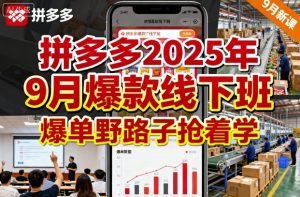 拼多多2025年9月爆款线下班，爆单野路子抢着学-虚拟资源库