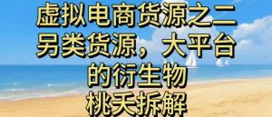 虚拟电商之二—另类的货源，大平台的衍生物-虚拟资源库