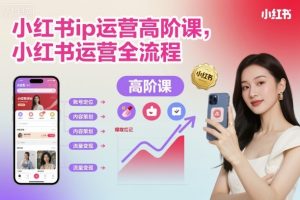 小红书ip运营高阶课,小红书运营全流程-虚拟资源库