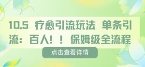 疗愈引流玩法,单条引流百人,保姆级全流程-虚拟资源库