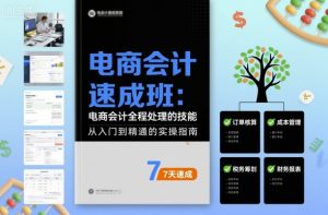 电商会计速成班,电商会计全程处理的技能-虚拟资源库