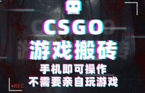 CSGO游戏挂G捡漏,单日扫货5张+,年底小高峰上车可吃肉,手机即可操作,兼职副业创业网创【揭秘】-虚拟资源库