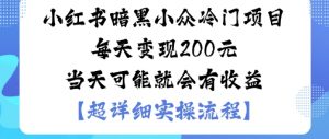 小红书暗黑小众冷门项目每天变现2张当天可能就会有收益-虚拟资源库