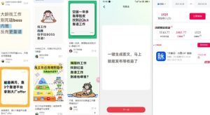 毕业生求职项目拆解_脉脉拉新空白市场，蓝海开局-虚拟资源库
