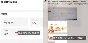 游戏加速器项目4.0_最新打法思路(爱玩游戏也能边玩边被动收益)-虚拟资源库